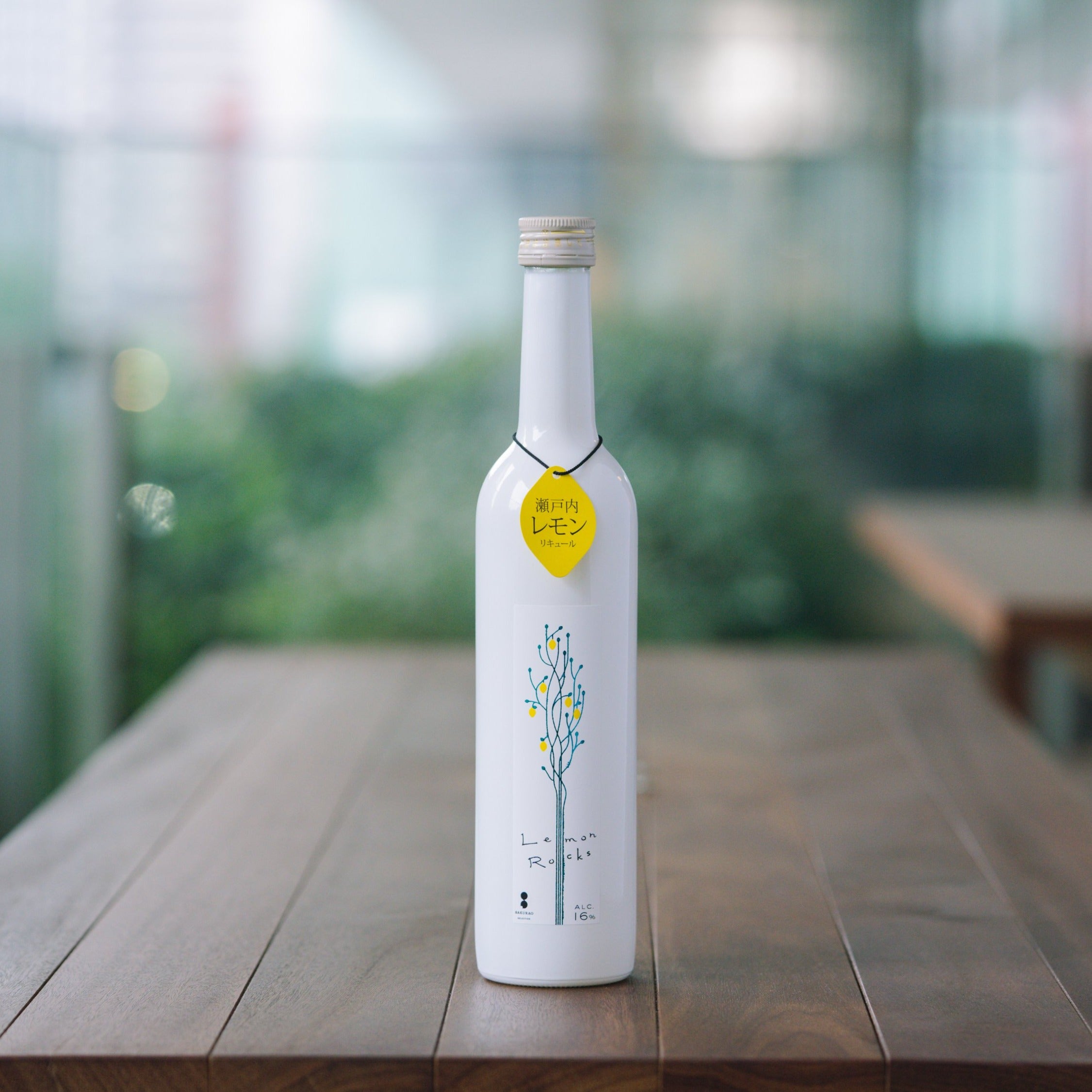 DSC08666.jpg?v=1625196443