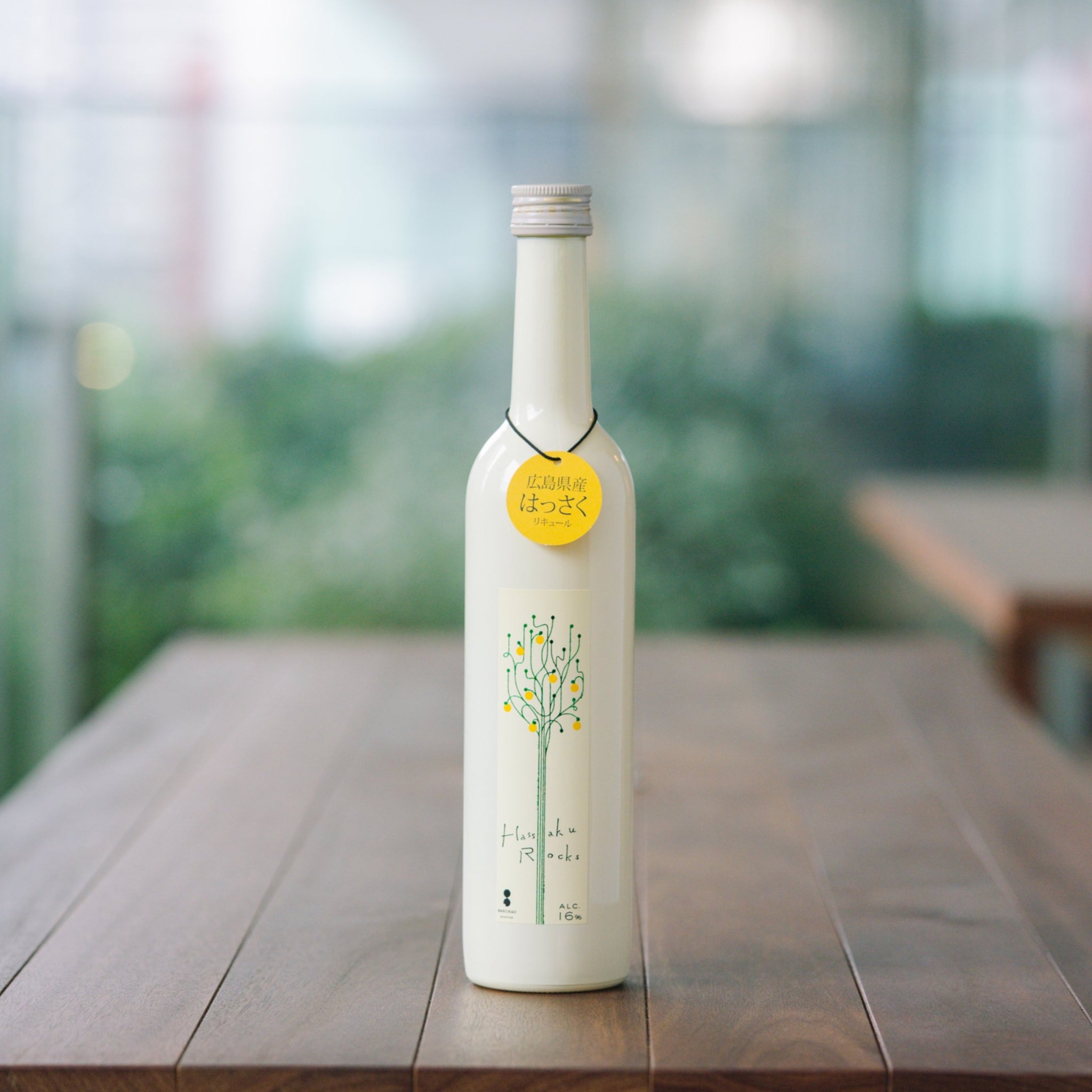 Club 808会員限定バスクル8個セット 8YARDS | TRUNK